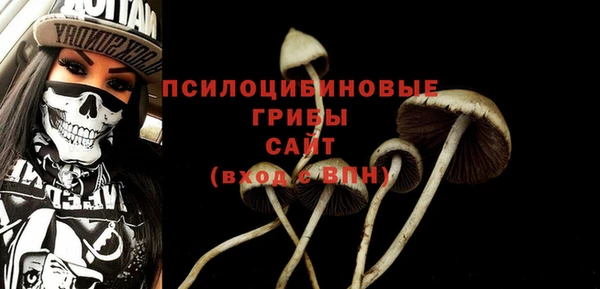ПСИЛОЦИБИНОВЫЕ ГРИБЫ Балахна