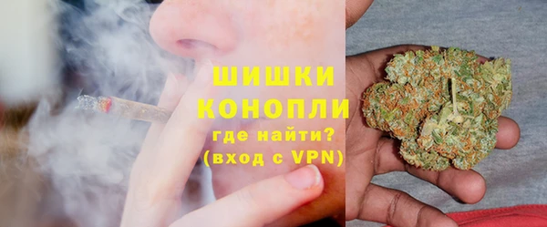 ПСИЛОЦИБИНОВЫЕ ГРИБЫ Балахна
