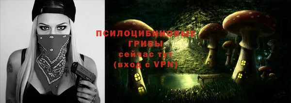 ПСИЛОЦИБИНОВЫЕ ГРИБЫ Балахна