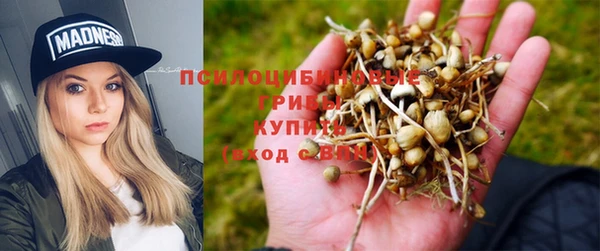 гидра Баксан